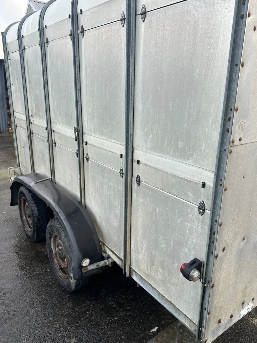 Ifor Williams Cattle Trailer - Image 2
