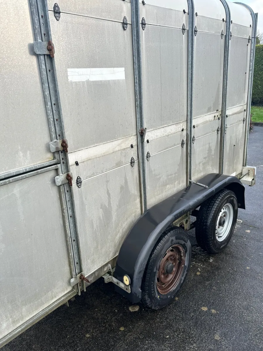 Ifor Williams Cattle Trailer - Image 3