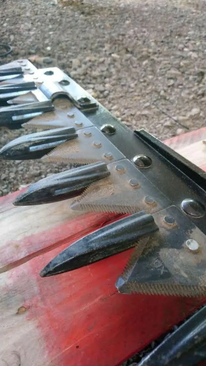 JPC MIVA HEDGECUTTER - Image 3