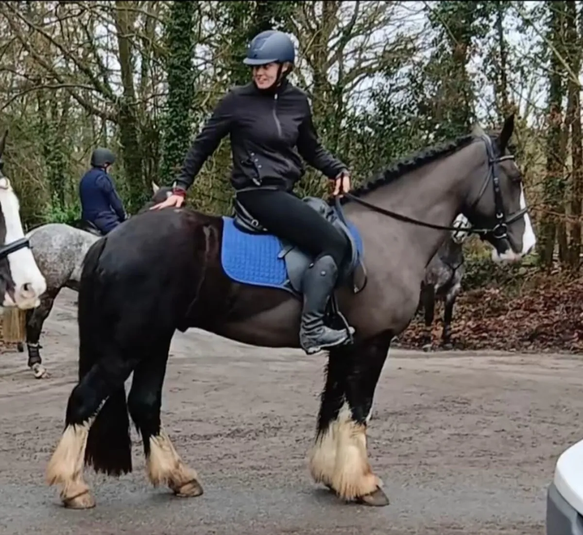 15.2hh gelding rising 4 - Image 1