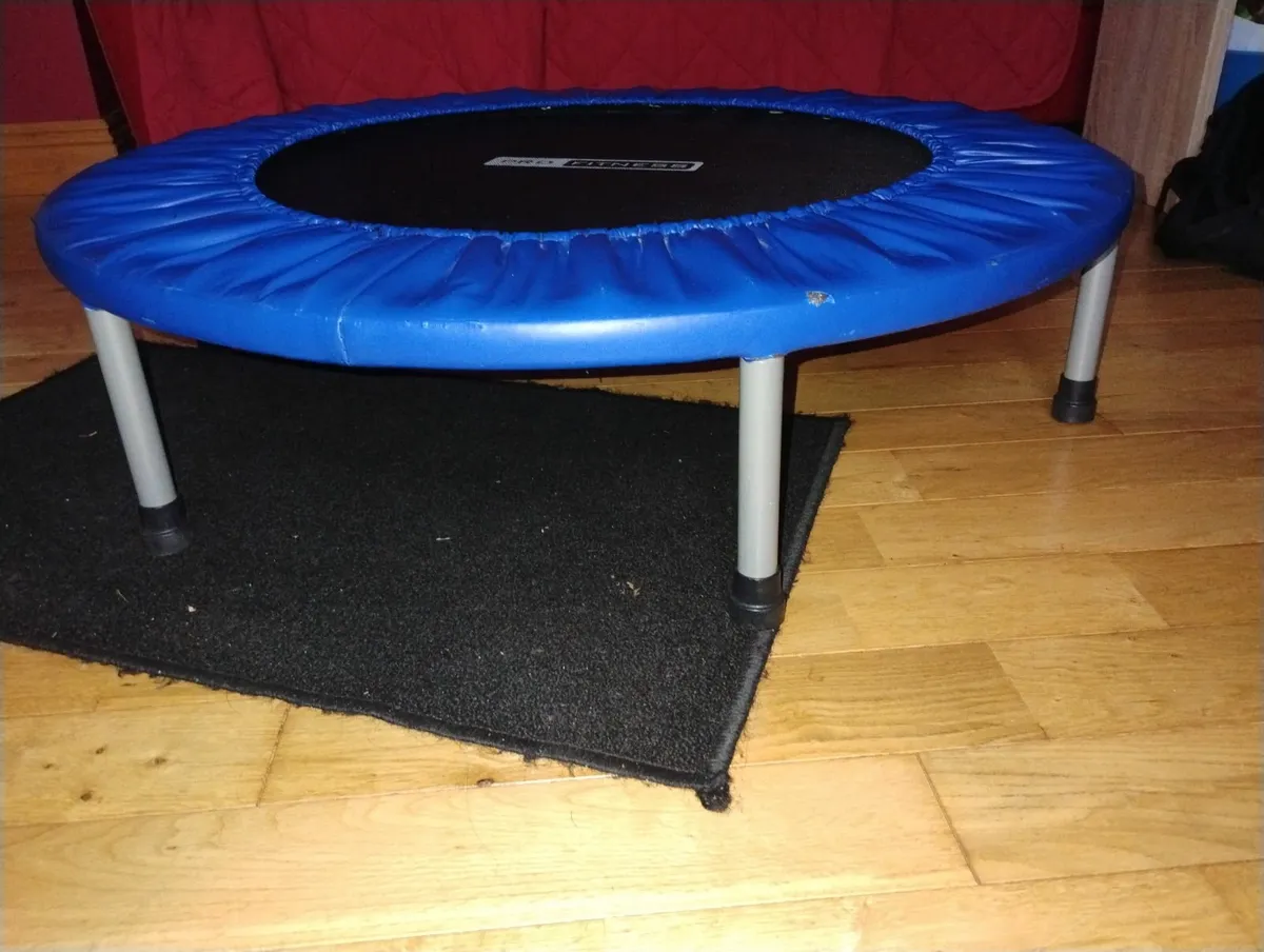 Mini trampoline - Image 1