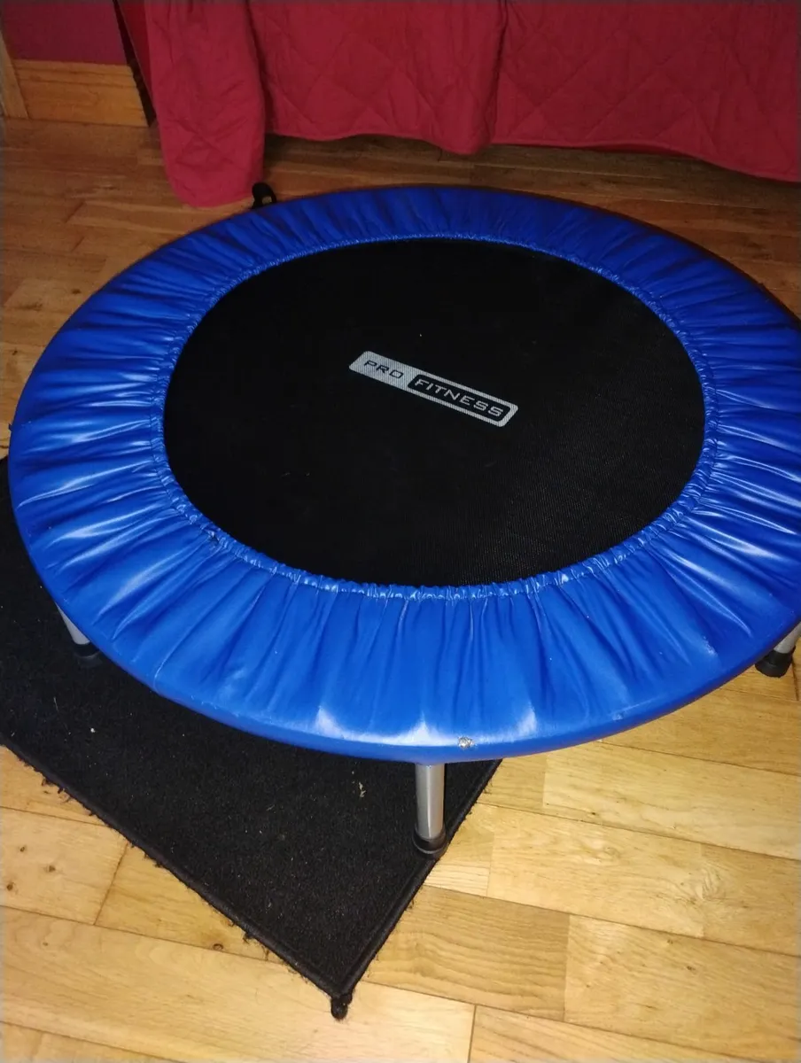 Mini trampoline - Image 2