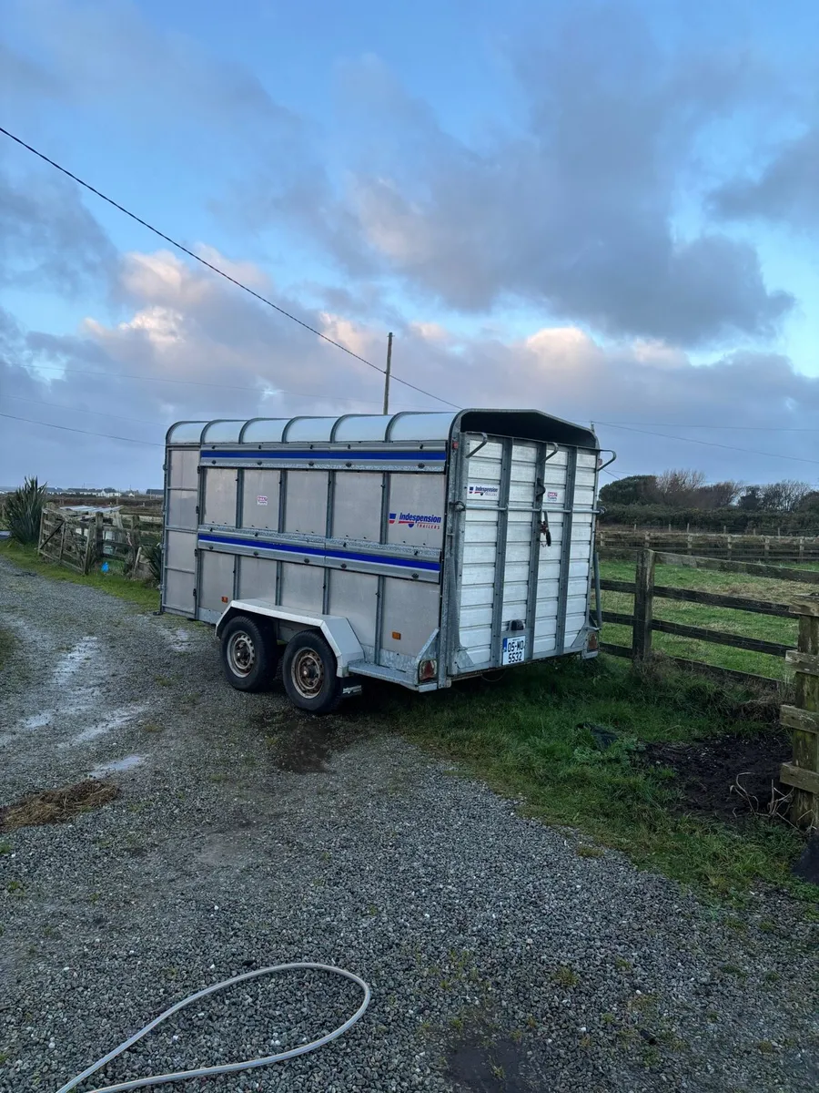 Cattle trailer - Image 3