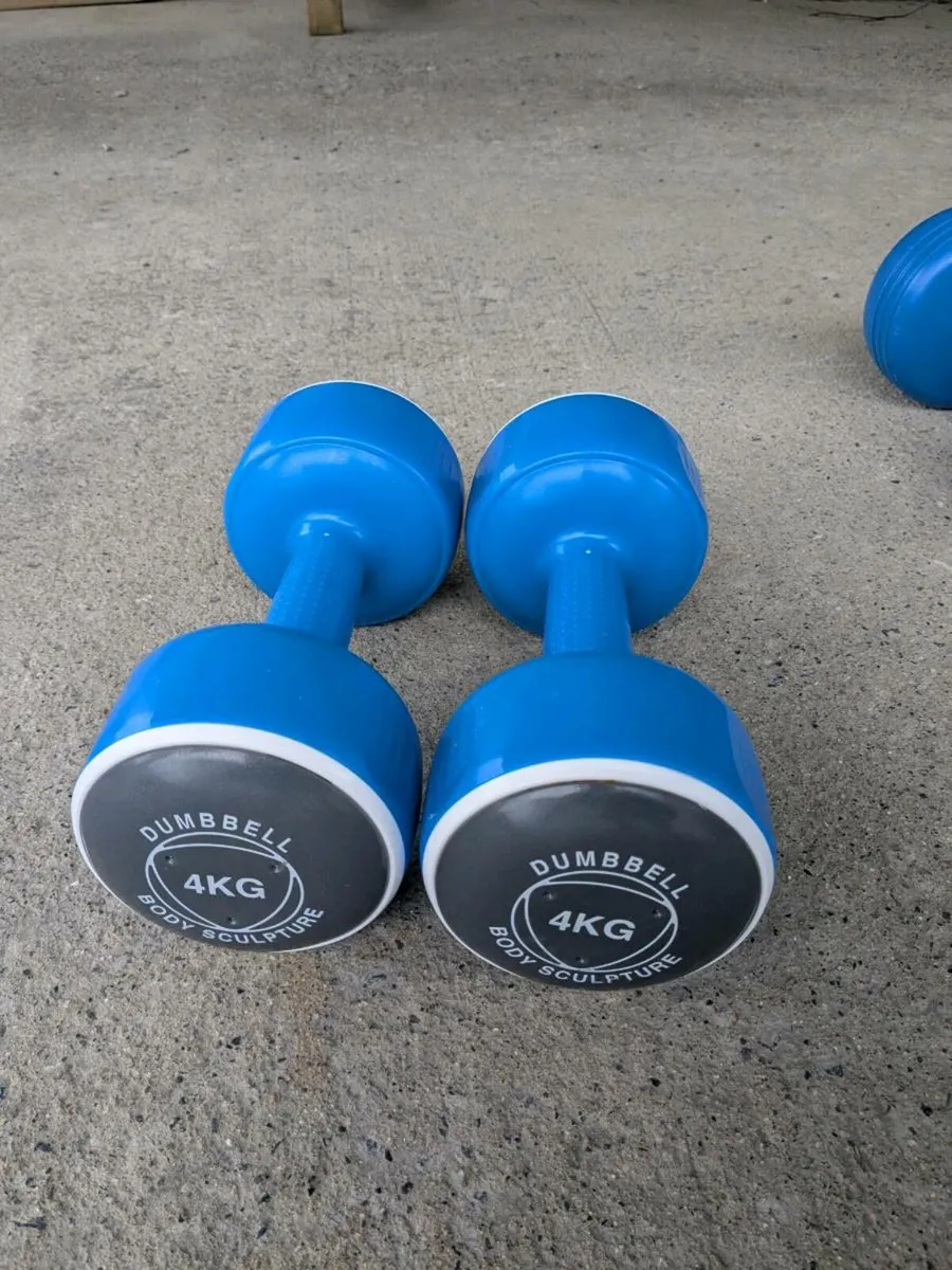 Weights - Image 2