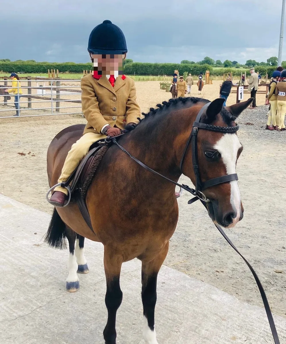 Top lead rein pony - Image 2