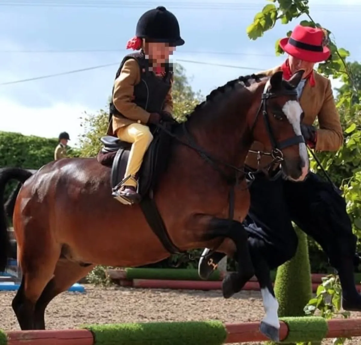 Top lead rein pony - Image 3