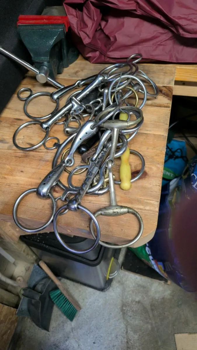 Equestrian bridle bits