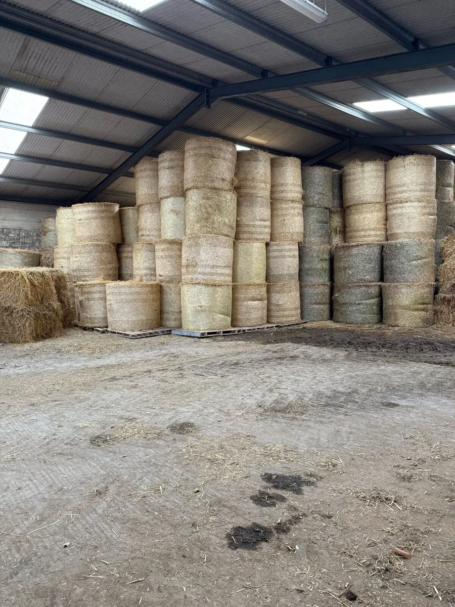 Straw 8x4x3 - Image 4