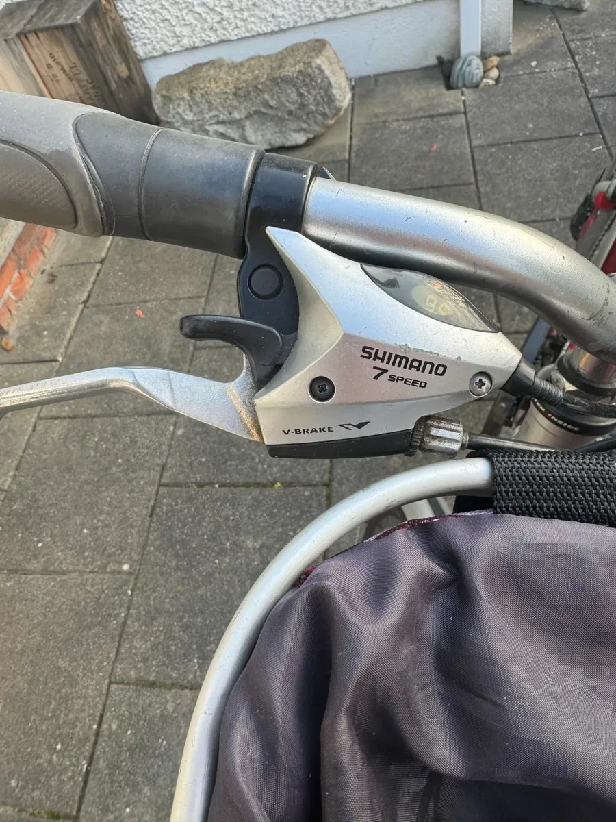 Ladies Bicycle - Image 2