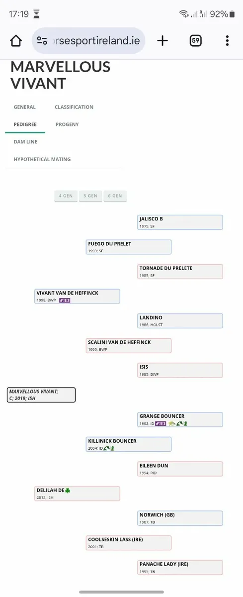 ✨️Vivant gelding ✨️suitable for YR - Image 4