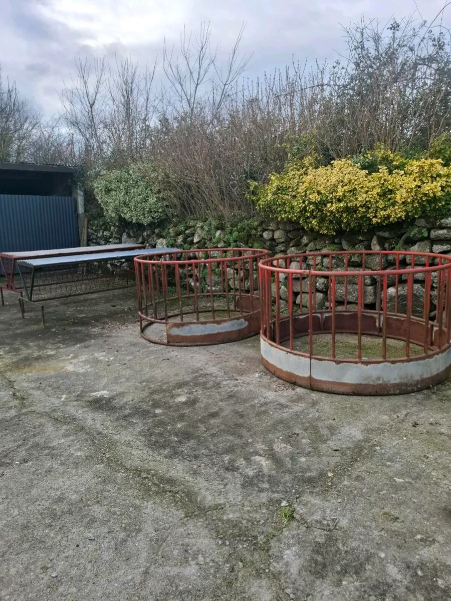 Sheep feeders - Image 1