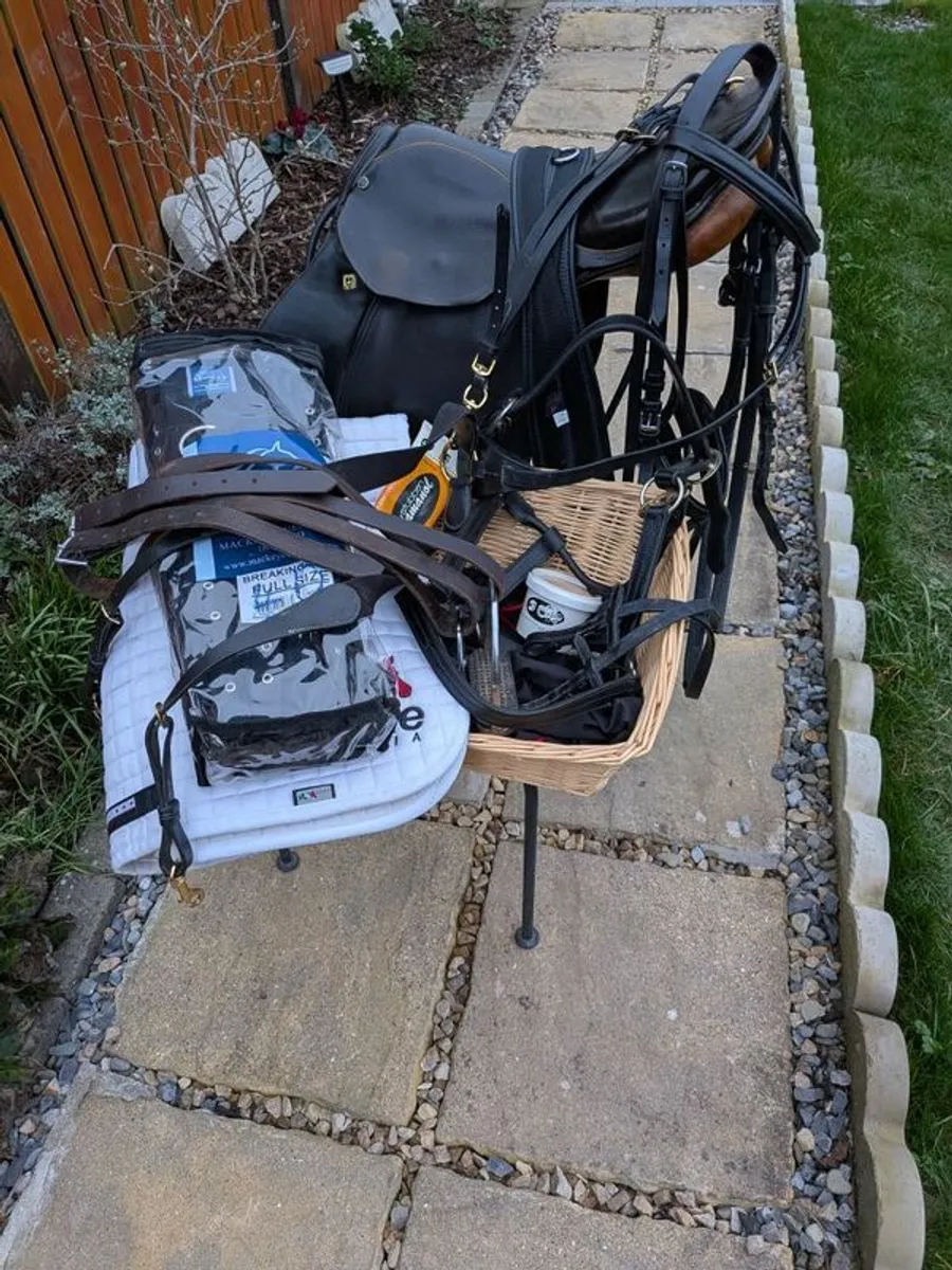 Equestrian complete horse riding set - Image 2