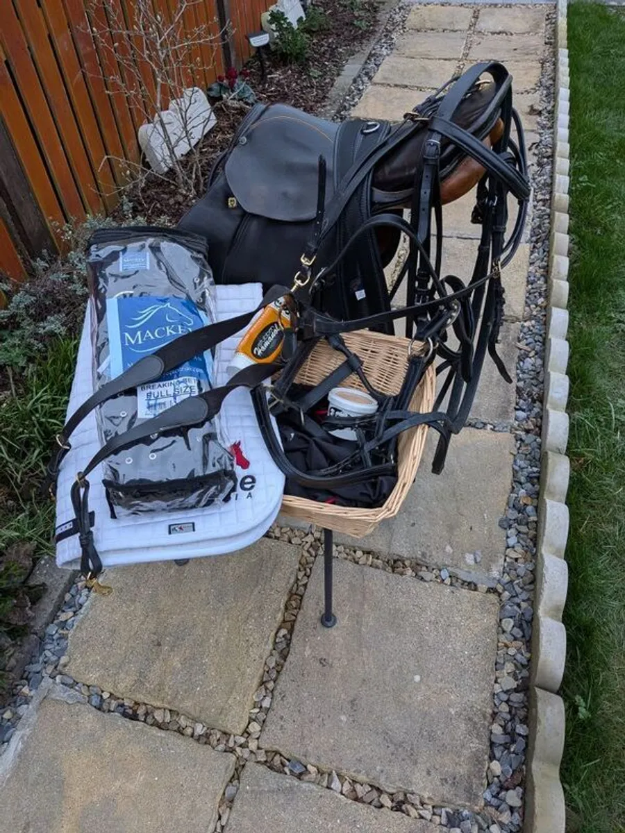 Equestrian complete horse riding set - Image 4