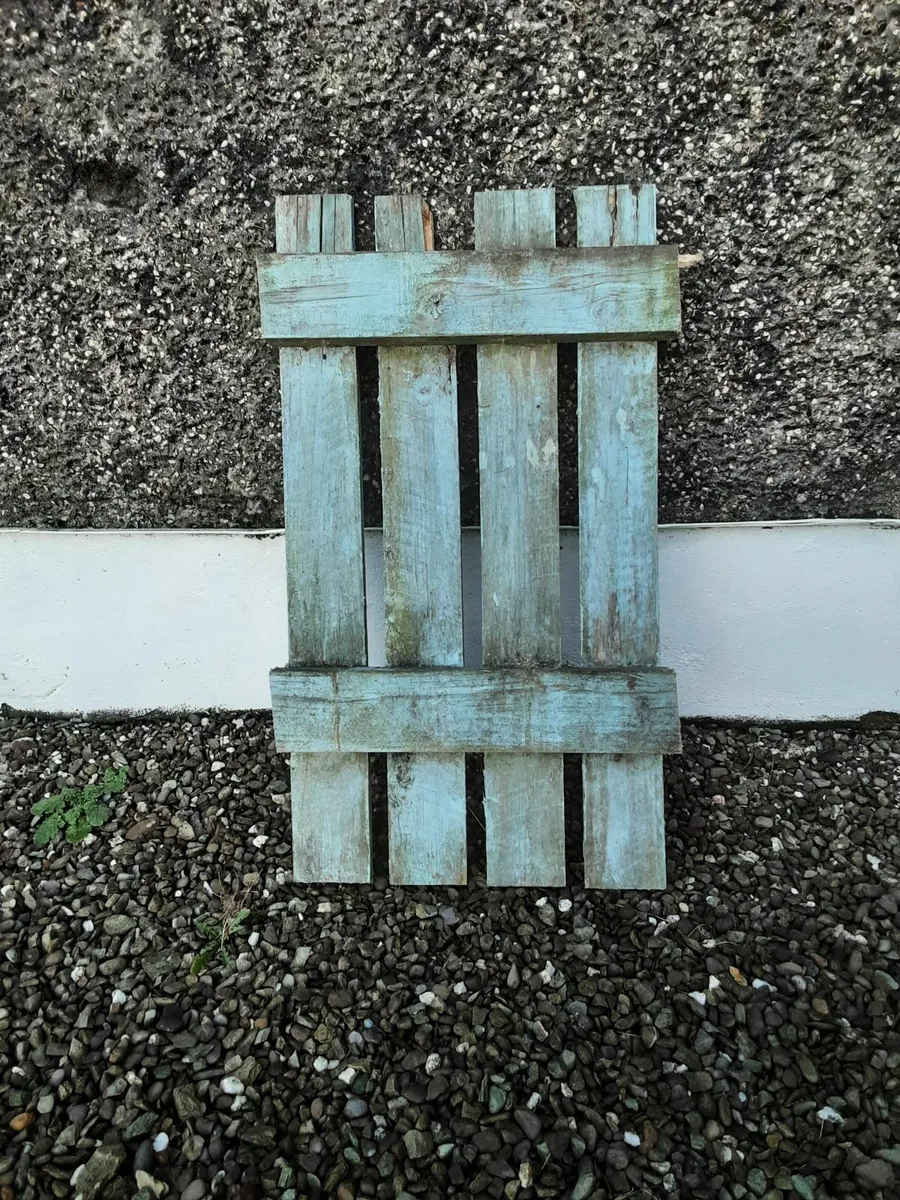 Old Fence for Firewood