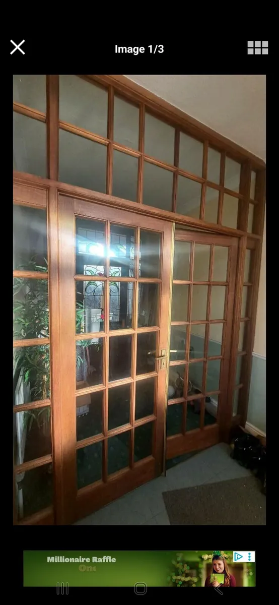 Hall entrance double doors - Image 1