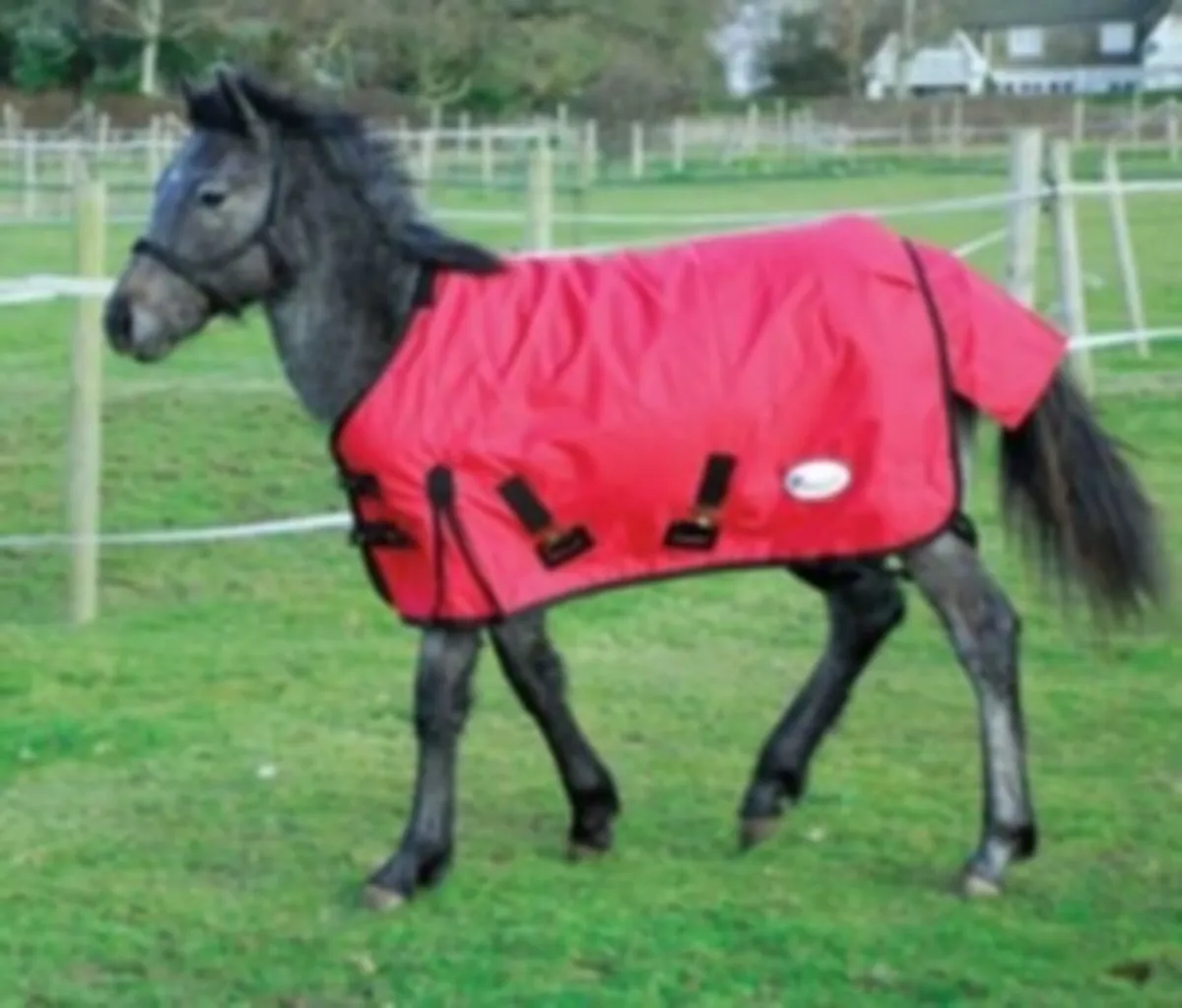 Foal Turnout Rugs