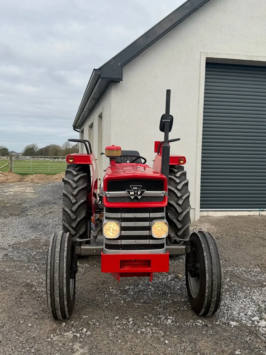 Massey Ferguson 135 - Image 2