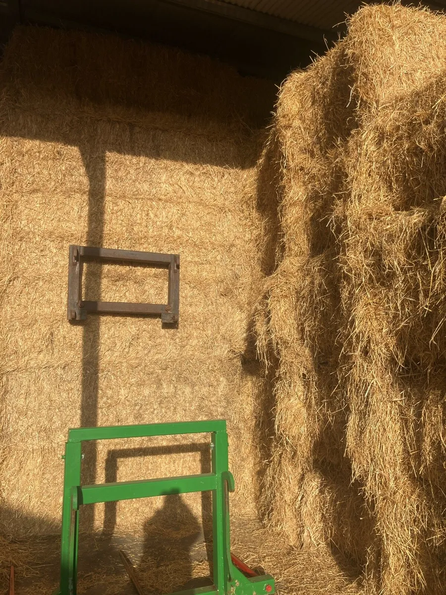 Barley straw - Image 1