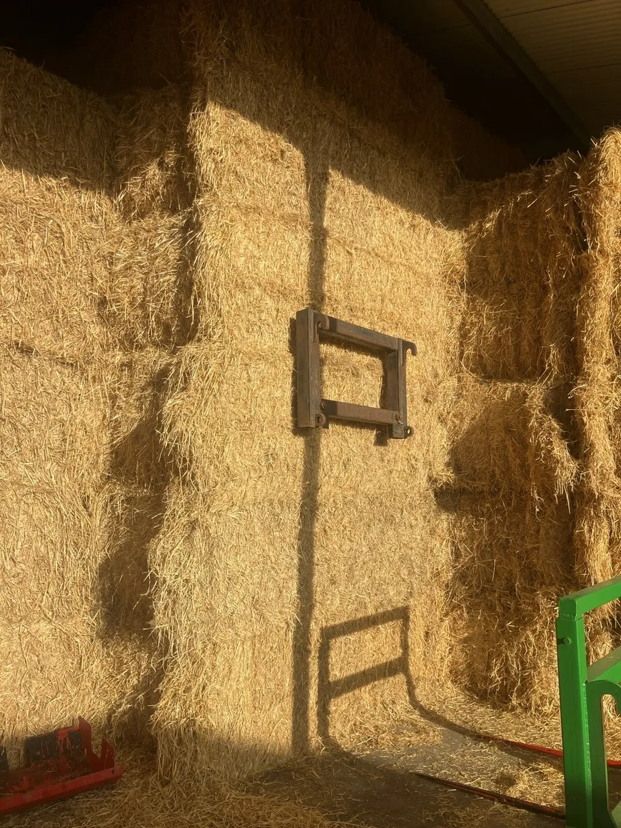 Barley straw - Image 2