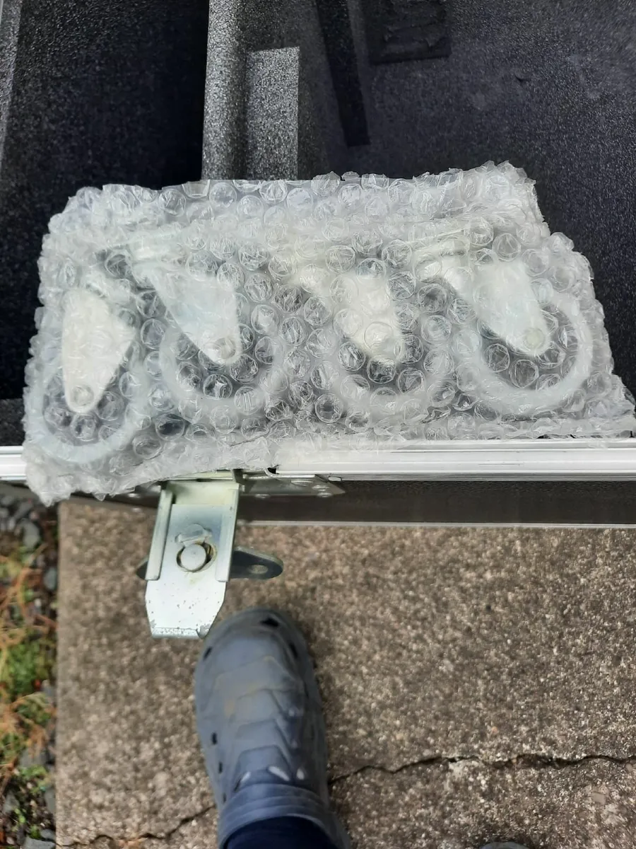 Large trunks - Image 2