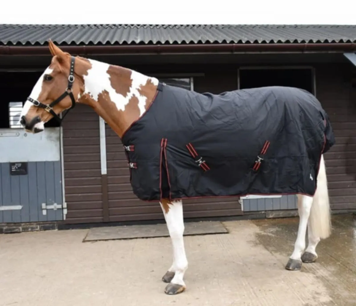 Heavy weight Turnout Rugs