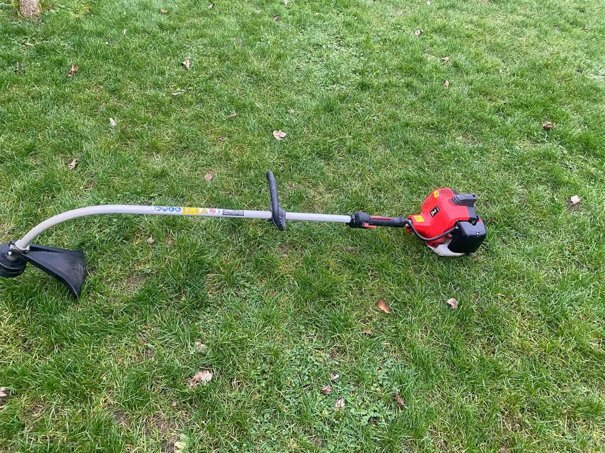 ProPlus Power petrol strimmer - Image 1