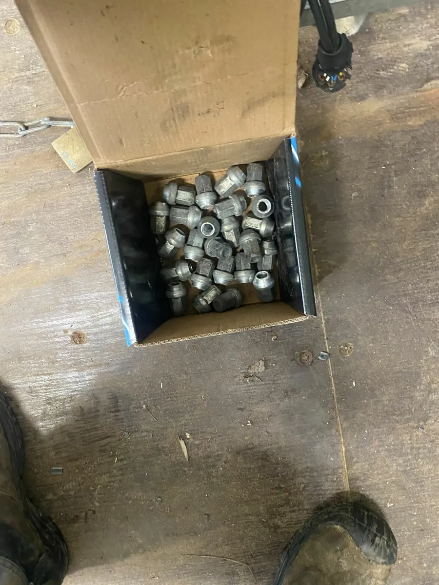 Alloy Wheels - Image 3