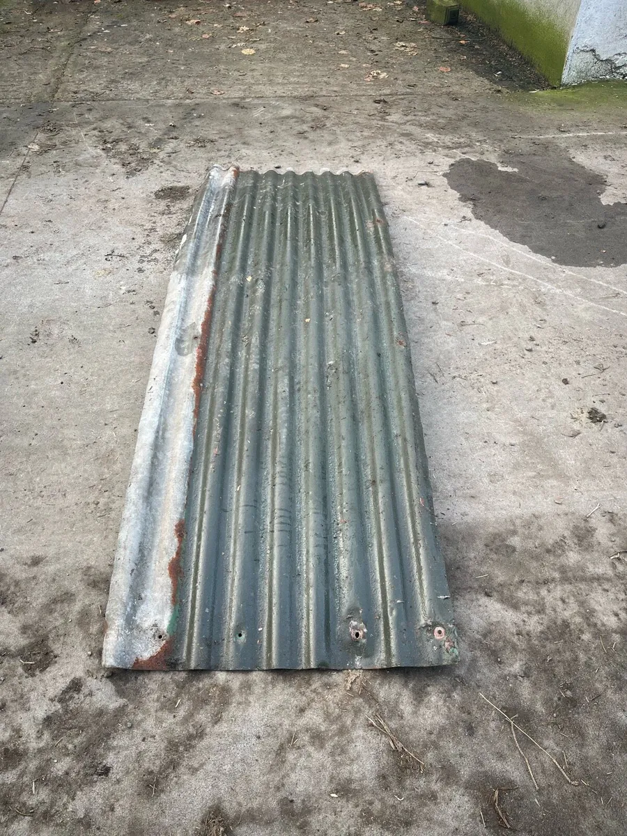 Galvanise sheets - Image 3