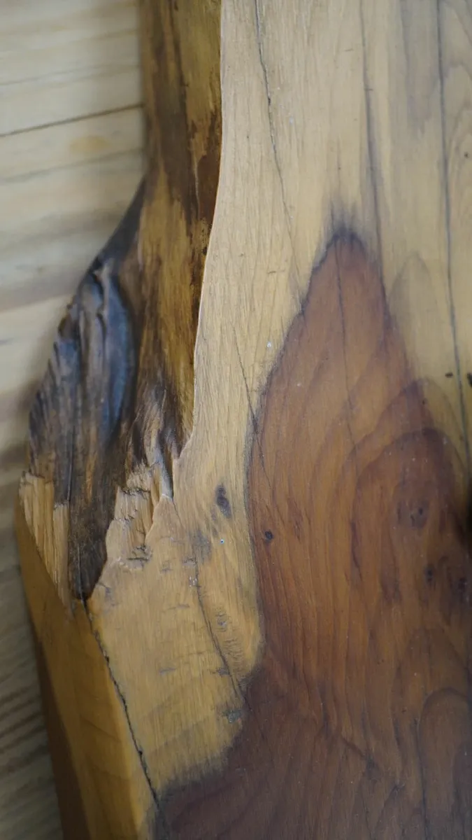 Bog Oak "Sentinel" Table Lamp - Image 4