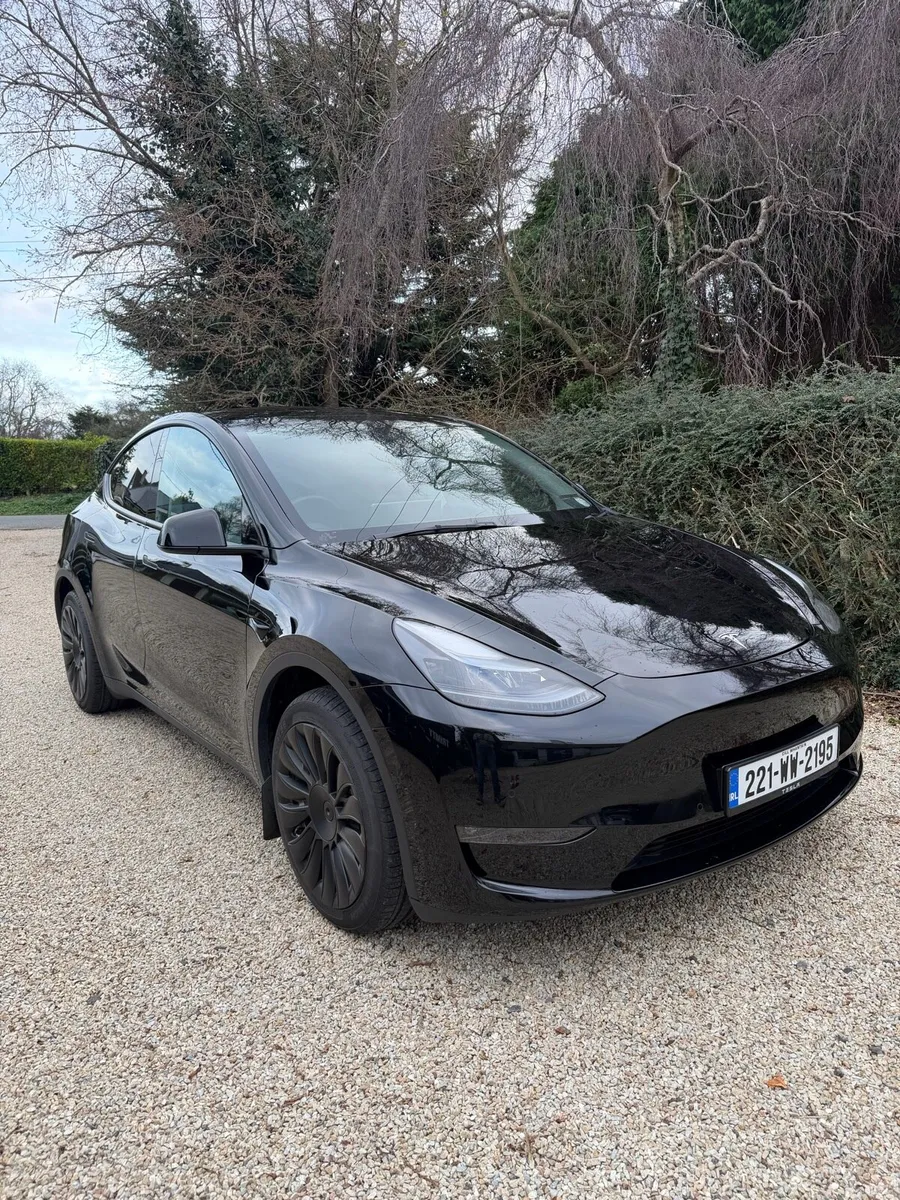 Tesla Model Y Long Range AWD - Image 1