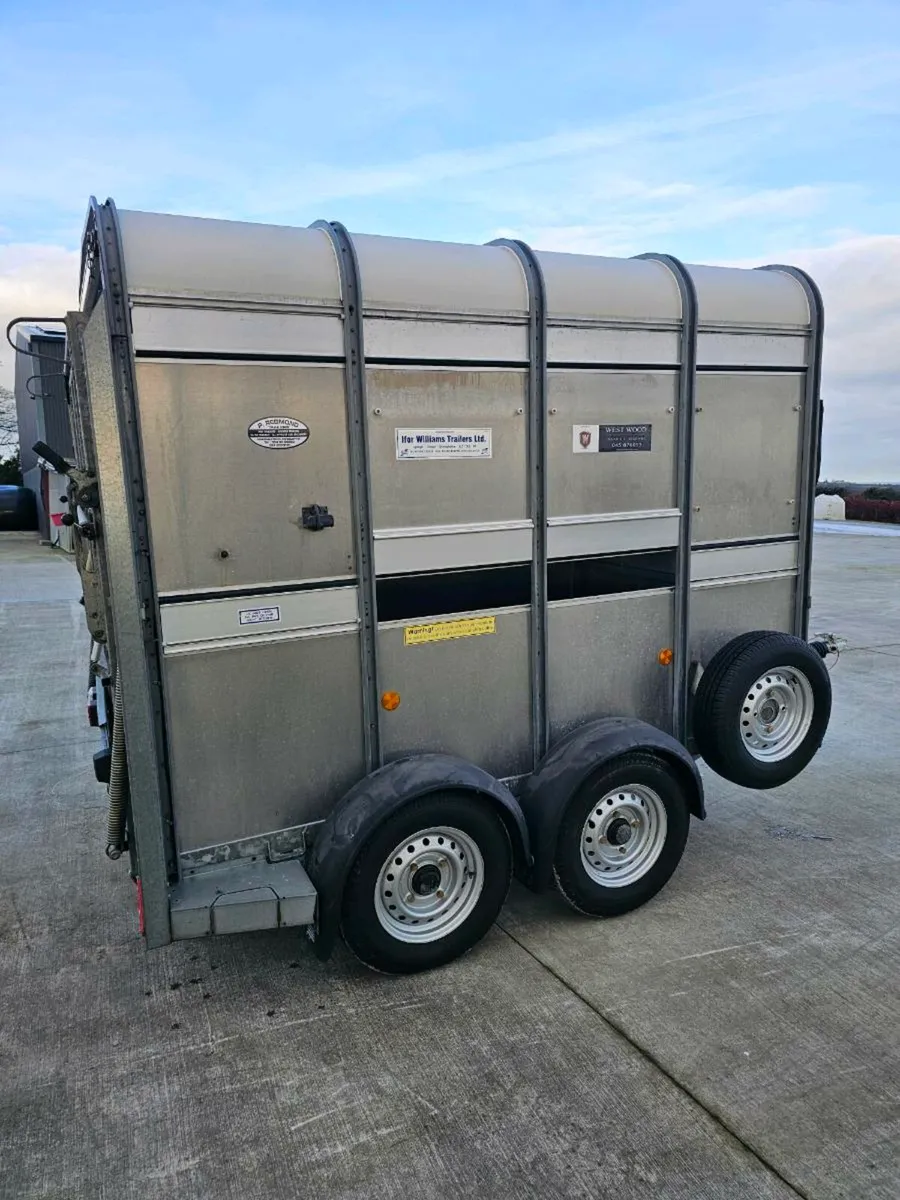Ifor Williams 8x5 Sheep Trailer with decks - Image 4
