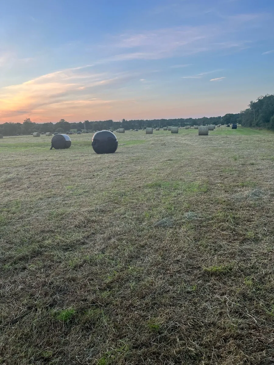 Wrapped hay for sale and can deliver - Image 1
