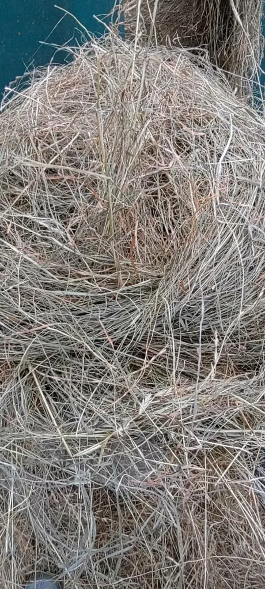 Haylage - Image 2