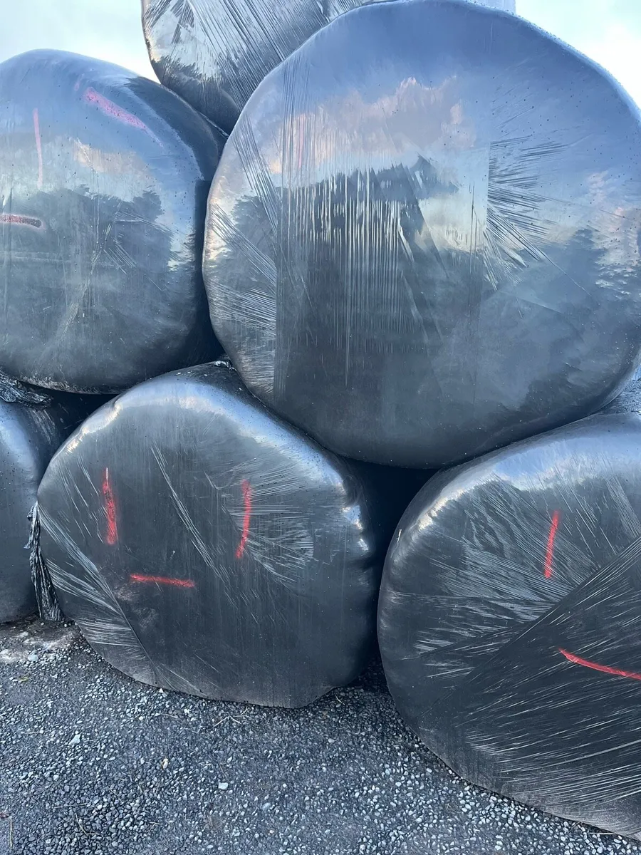 Wrapped hay for sale and can deliver - Image 2