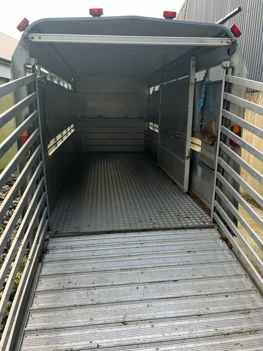 14ft livestock trailer - Image 4
