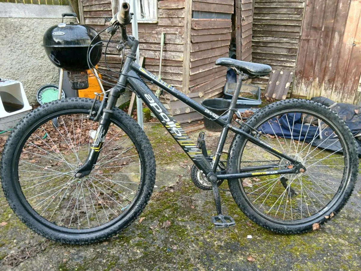 Bike - Image 1