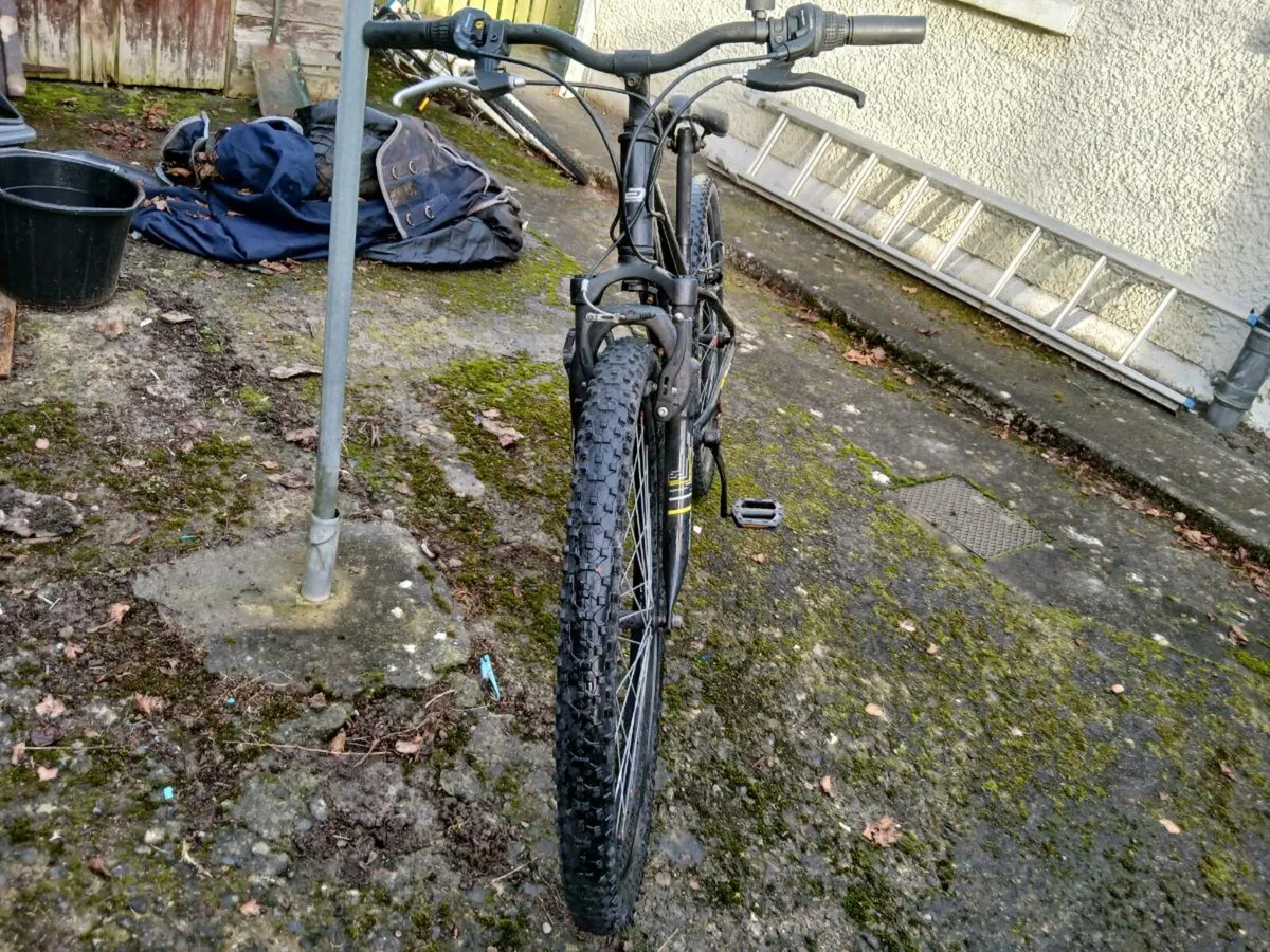 Bike - Image 2