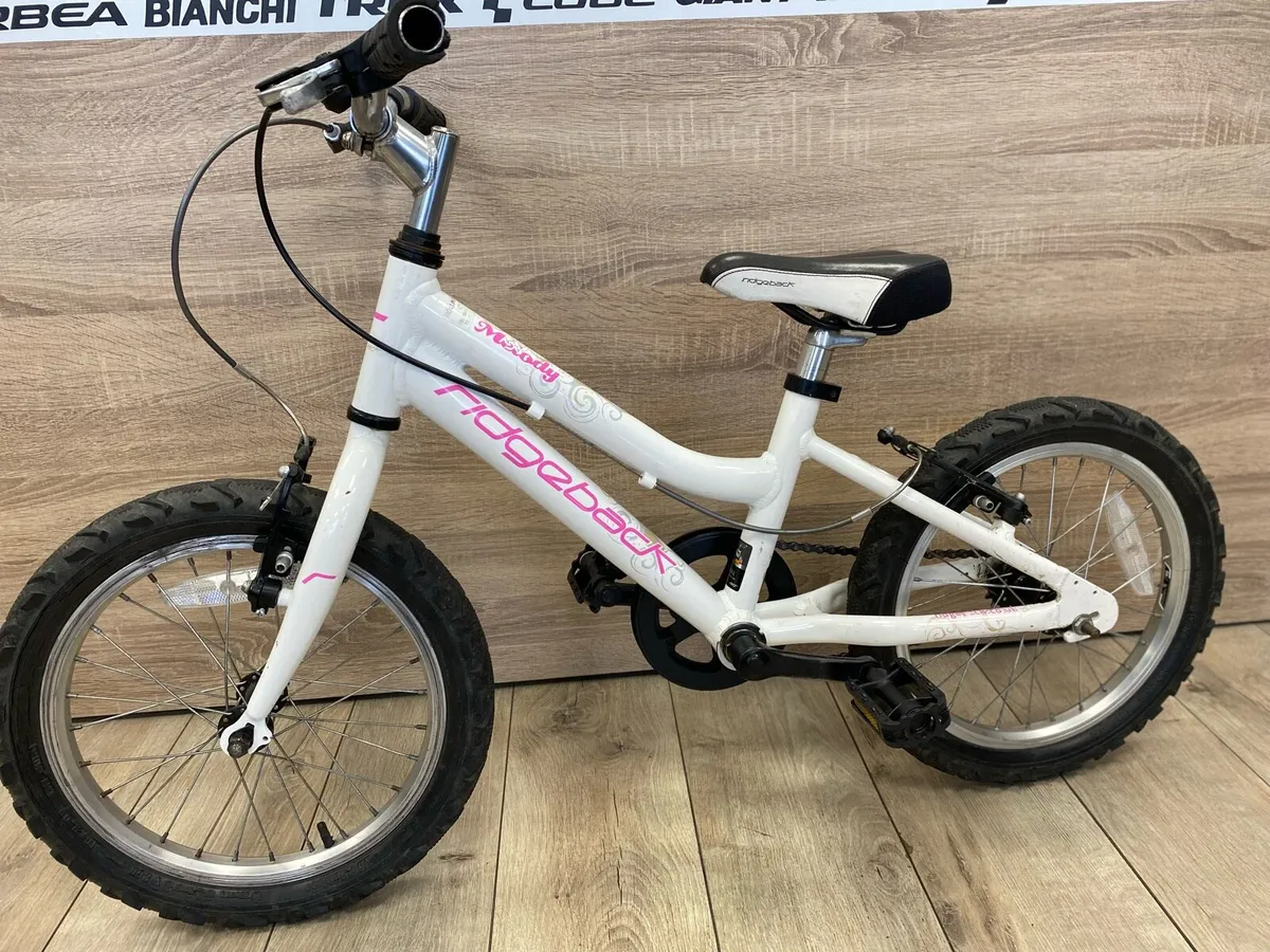 Ridgeback melody - Image 4