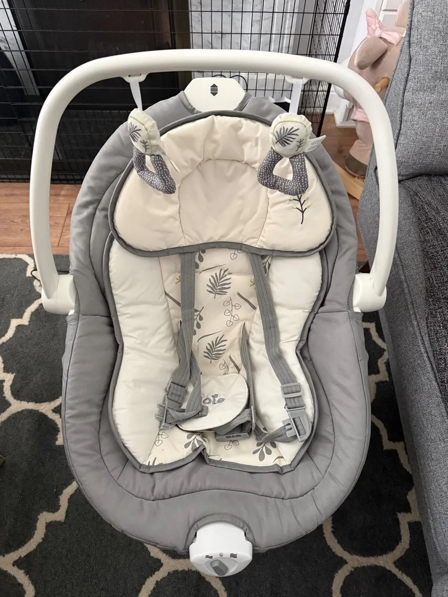 Joie Emeri 2-in-1 Baby Swing and Rocker Fern - Image 2