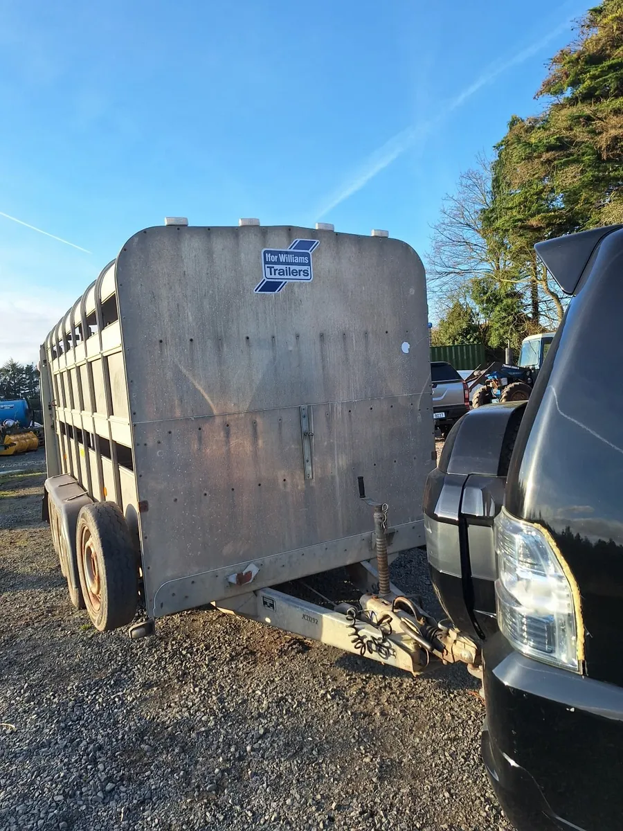2018 14x6 Ifor Williams Cattle trailer - Image 2