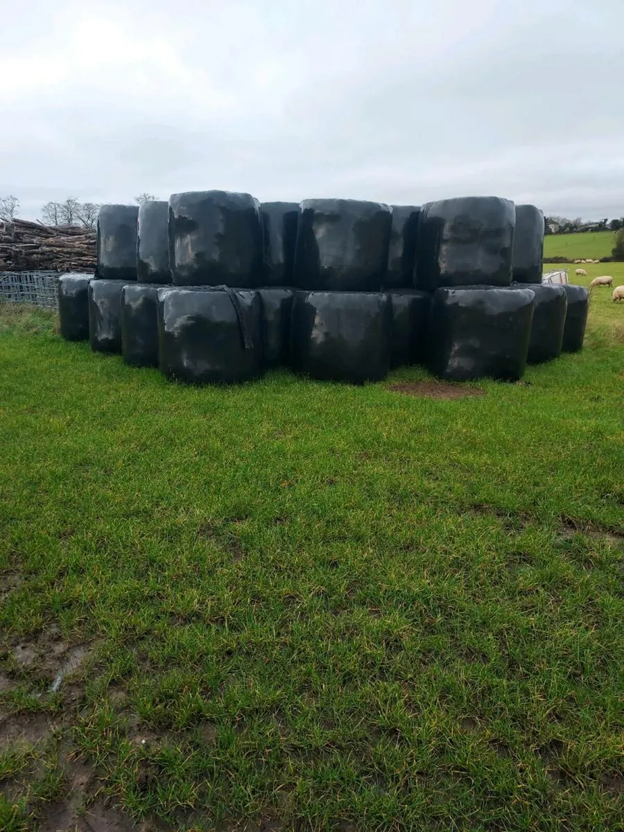 Silage - Image 1