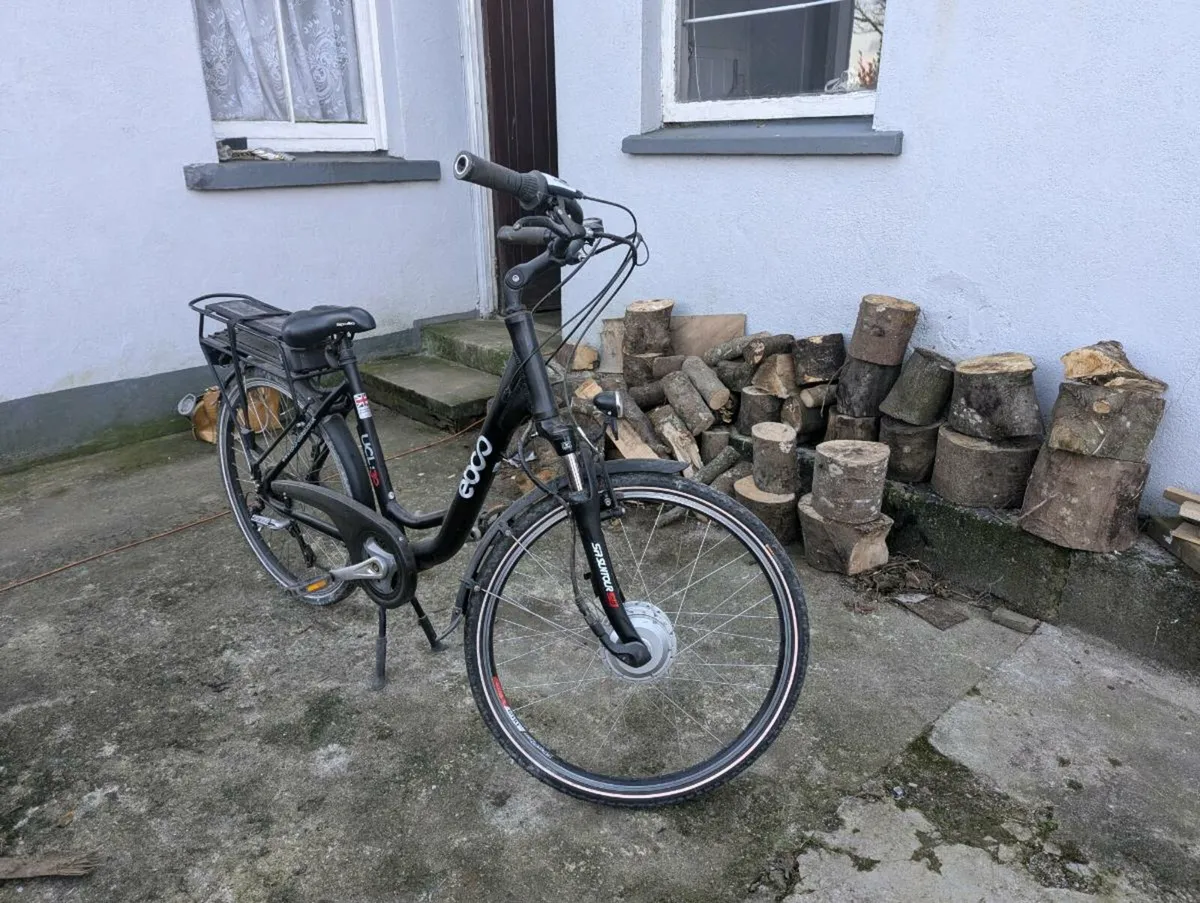 Electric bike - Image 1