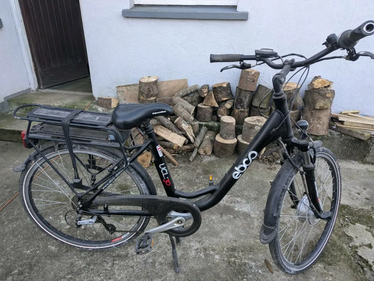 Electric bike - Image 2