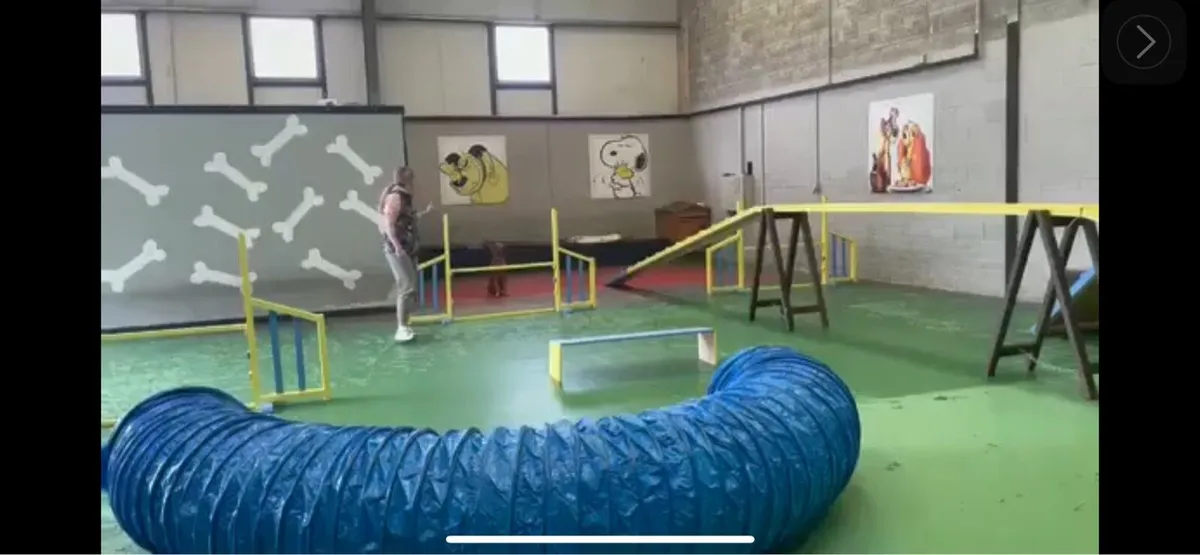 Agility Equipment - Image 1