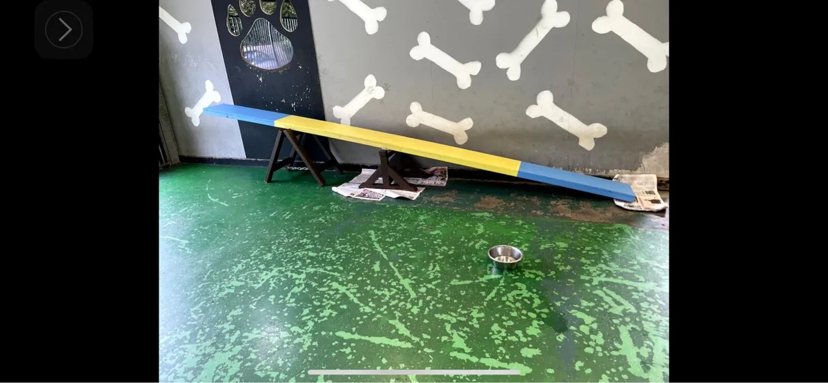 Agility Equipment - Image 2