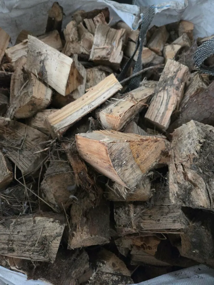 Firewood - Image 1