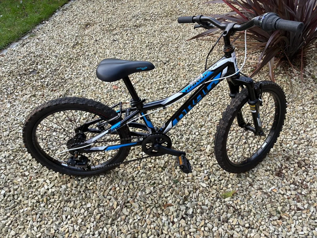 Kids Bike 24 inch - Image 1