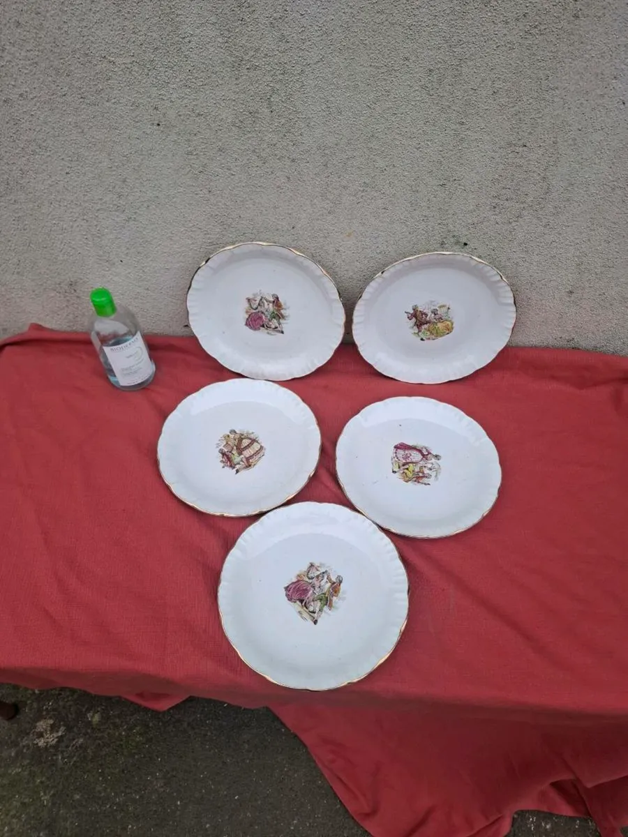 5 ceramic dinner plates postage possible