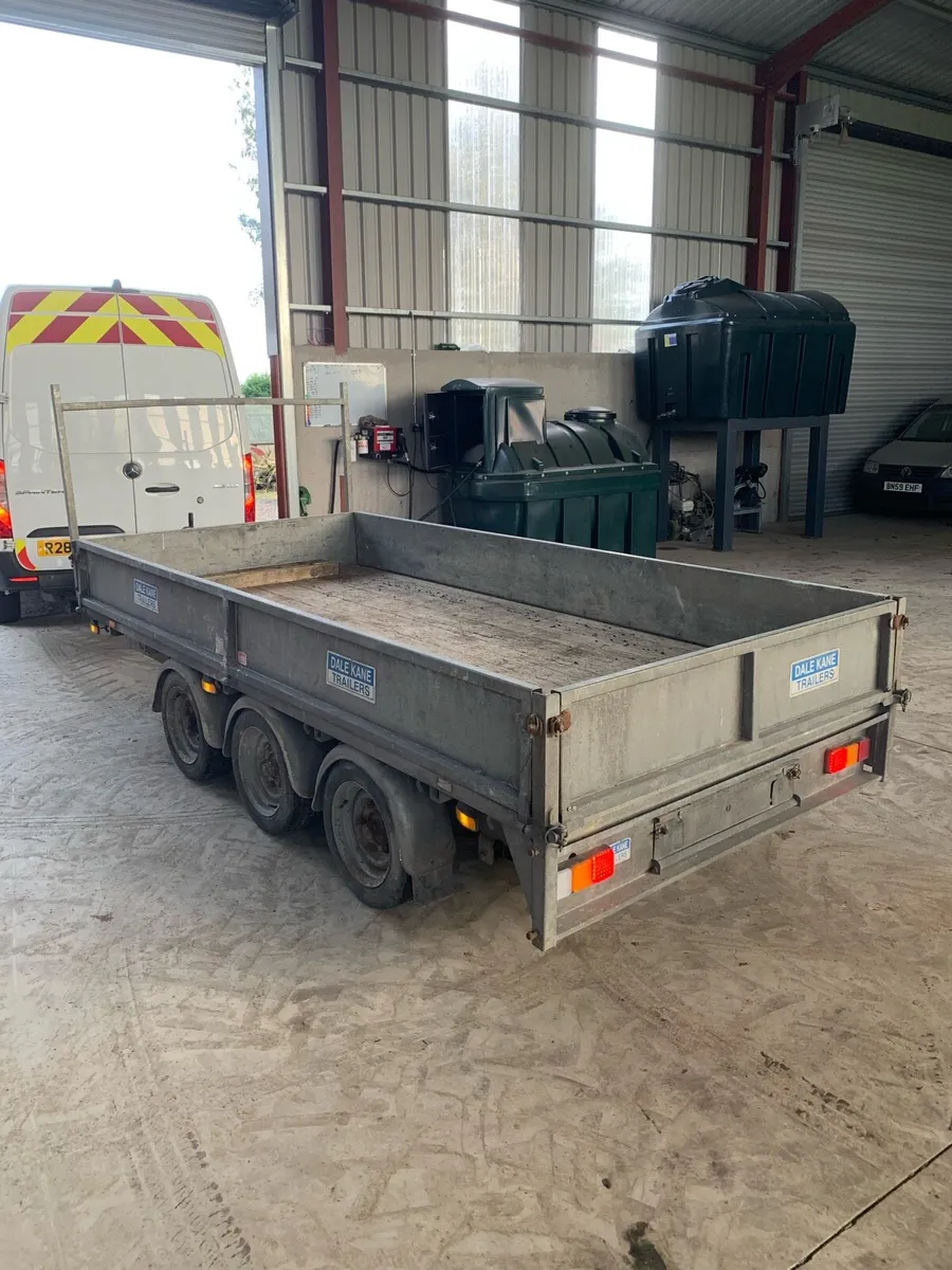 Dale kane 12x6 - Image 3