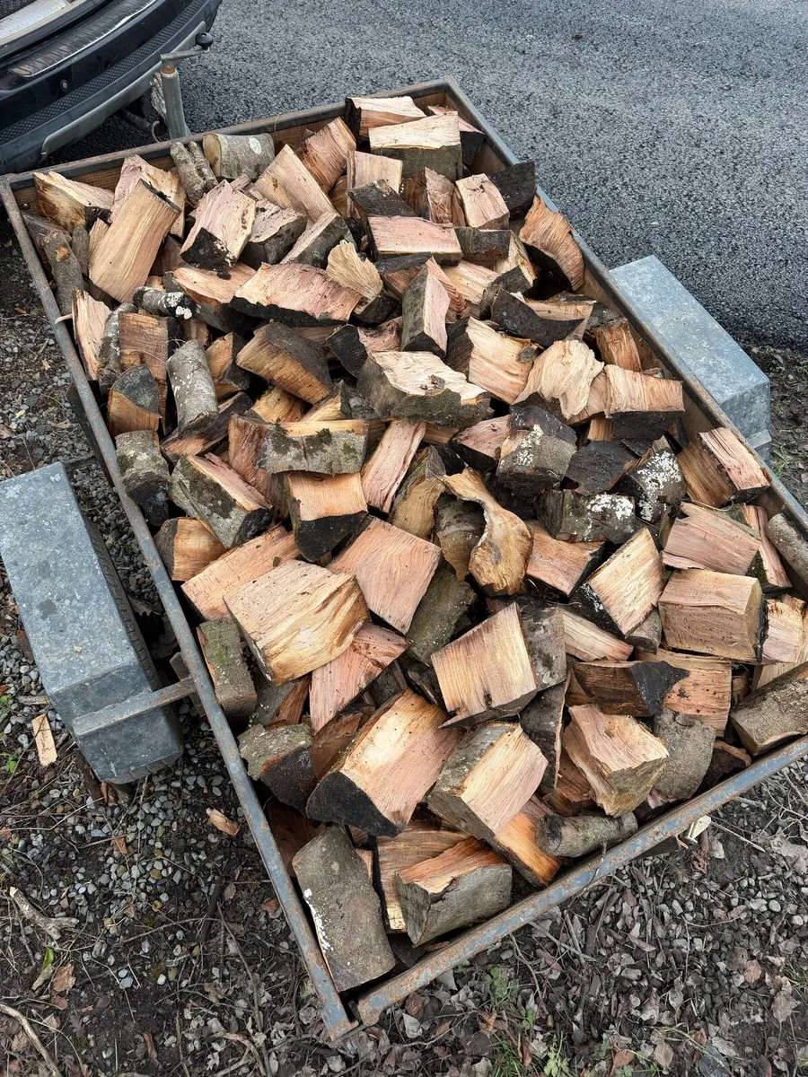 Firewood - Image 1